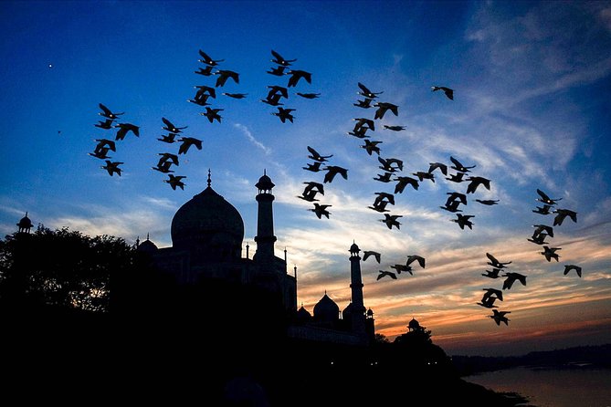 Private same day Taj Mahal tour from Banglore - Professional Guides and Photo-Friendly Focus
