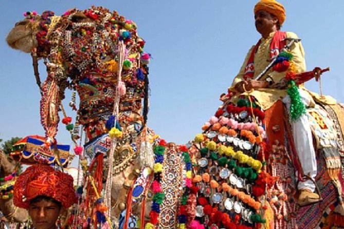 Private Same Day Trip to Pushkar from Jaipur - Price and value: how $32 turns into a full day