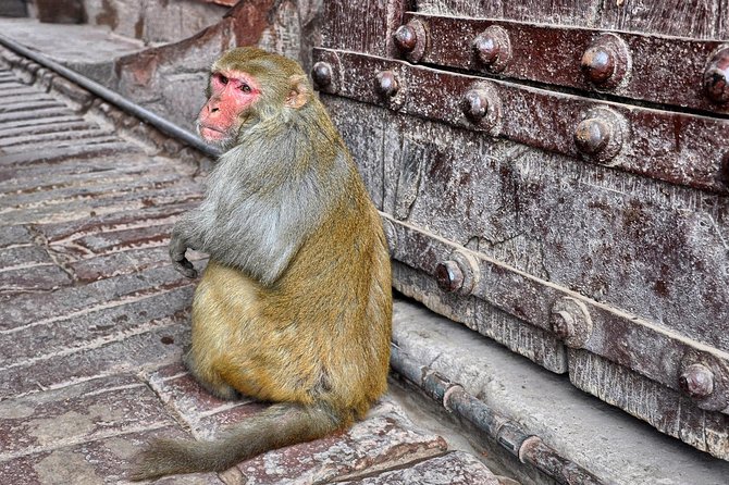 Private Taj Mahal & Agra Tour by Express Train From - Delhi - Private Guide, Getting Tickets Handled, and Air-Conditioned Transport