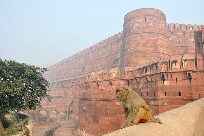 Private Taj Mahal & Agra Tour by Express Train From - Delhi - Timing Tips for an 11-Hour Day That Actually Feels Enjoyable