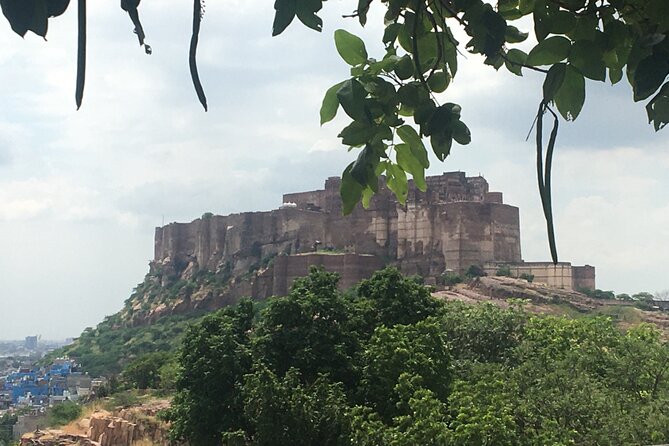 Private Tour of Jodhpur Blue City Tour - Price and logistics: what you’re really paying for at about $26