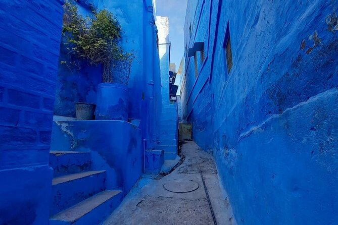 Private Tour of Jodhpur Blue City Tour - Who this Blue City tour is best for