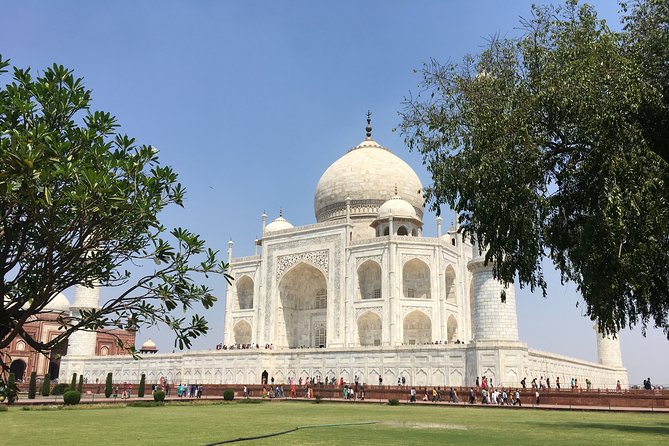 Private Transfer From New Delhi Airport /Hotel to Agra - How the Delhi airport meet-up really works at IGI Terminal 3
