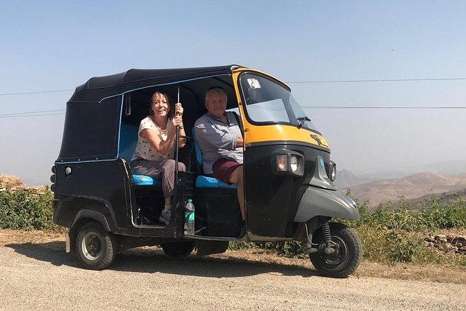 Private Udaipur Sightseeing Tour by Tuk-Tuk or Car with Driver - Temples and lake views: Jagdish Temple and Lake Pichola