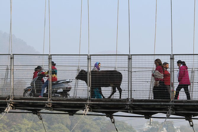 Private Walking Tour in Rishikesh - A 4-hour private walk that actually helps you understand Rishikesh