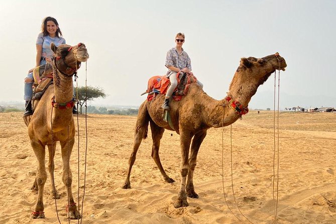 Pushkar Day Trip from Jaipur – Private Car, Safari, Guide & Lunch - Stop 1, Brahma Temple: spiritual atmosphere with a quick visit window