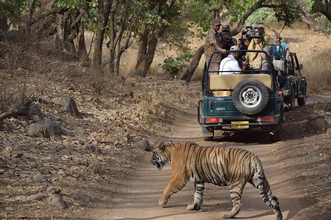 Ranthambhore Tiger Tour of Delhi, Agra, and Jaipur 5 Star Hotel - Sunrise Taj Mahal and Agra Fort: The Parts That Make the Long Drive Worth It