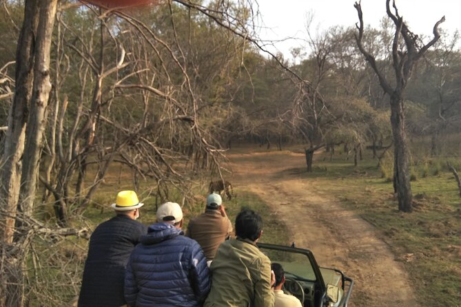 Ranthambore National Park - The tiger reality check: zone rules and what to expect