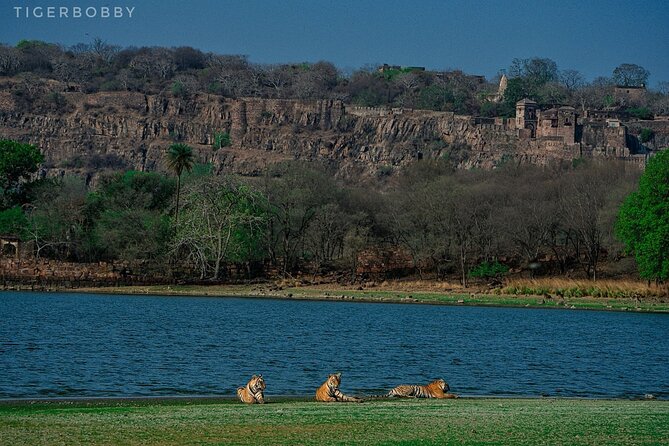 Ranthambore National Park - Vehicle and comfort: Gypsy vs canter, and your viewing style