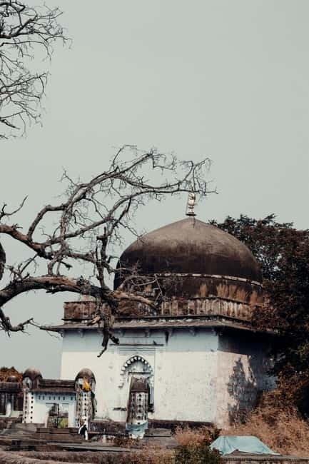 Ranthambore National Park: Safari Ticket with Pickup Option - What happens inside the park during your Canter safari
