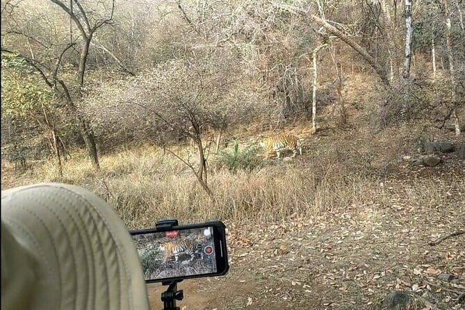 Ranthambore - Sharing Tiger Safari In Canter Or Gypsy Vehicle - When the weather turns, don’t panic, plan for flexibility