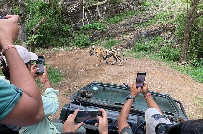 Ranthambore Tiger Reserve Private Gypsy Safari All inclusive - How your zone gets assigned, and why you should not stress it