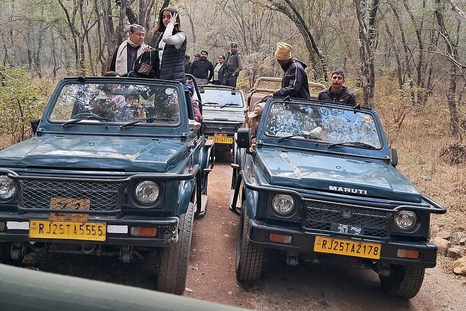 Ranthambore Tiger Reserve Private Gypsy Safari All inclusive - The heart of it: a 2 to 3 hour Gypsy safari in one zone