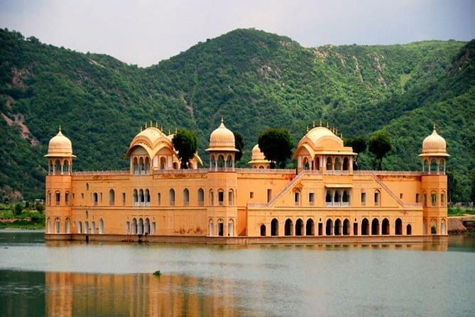 Ranthambore Tiger Safari Private Same Day Trip from Jaipur - The afternoon tiger safari: gypsy/canter permit and real wildlife time