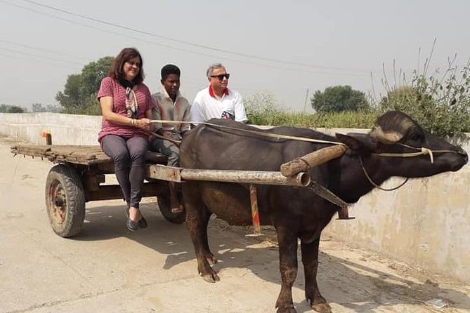 Real Village Tour Amritsar - Turban Tying Basics and Mehndi: Punjabi Style You Can Actually Wear