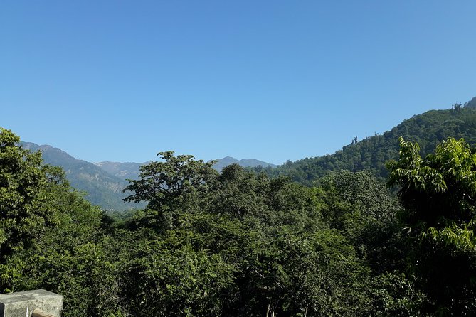 Rishikesh: Beatles Ashram Art & Meditation Walking Tour - Price and value: what $20 gets you, and what to budget for entries