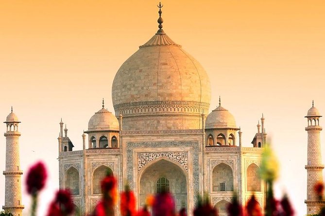 Royal Taj Mahal Day Experienc From New Delhi By First Class Train - A first-class rail day that keeps you out of logistics hell