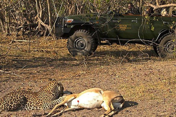 Safari In Jhalana Leopard Conservation Reserve, Jaipur - Why Jhalana Feels Different Than a Typical Safari Stop