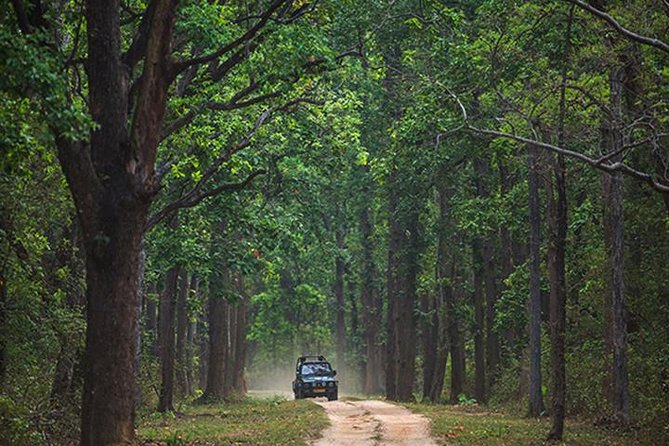 Safari In Jhalana Leopard Conservation Reserve, Jaipur - The Timing Game: 2.5 Hours, Two Core Windows