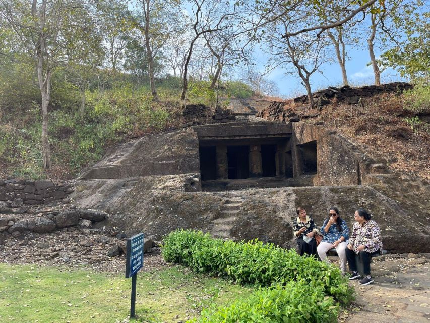 Sanjay Gandhi National Park + Kenheri Caves + Lion Safari - Getting In And Getting Around: Air-Conditioned Pickup, Park Limits, and Your Pace