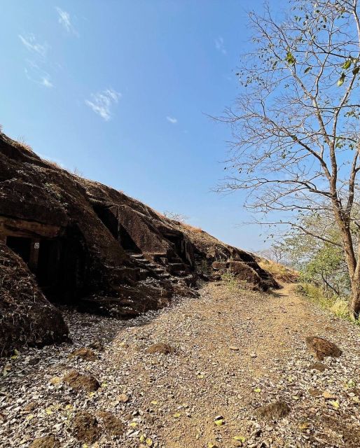 Sanjay Gandhi National Park + Kenheri Caves + Lion Safari - Jain Temple Inside the Park: Quiet Contrast After Wildlife