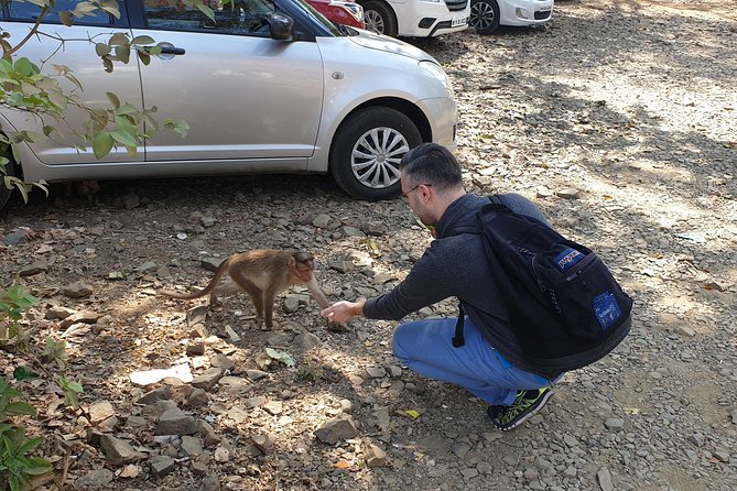 Sanjay Gandhi National Park(SGNP) + Kenheri Caves + Lion Safari + Jain Temple - Who this tour suits best (and who should rethink it)