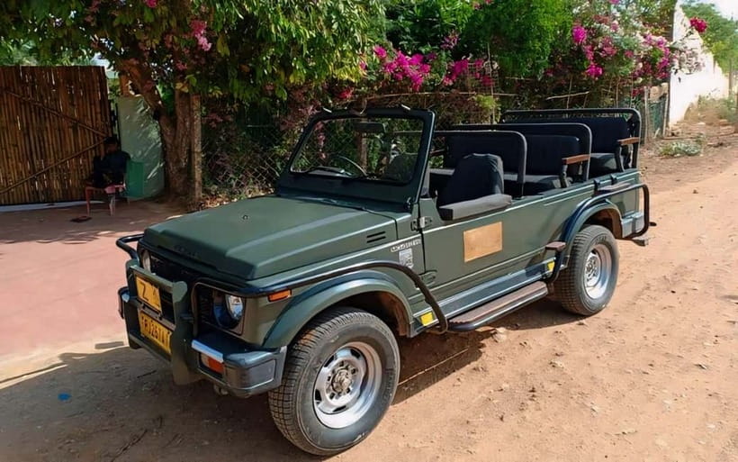Sawai Madhopur: Ranthambore National Park Guided Jeep Safari - Wildlife spotting focus: tigers, then the supporting cast