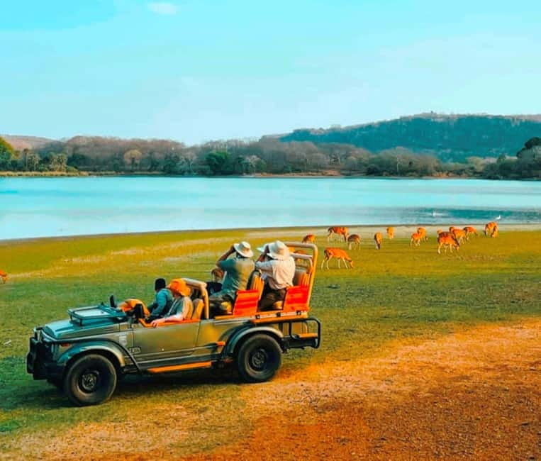 Sawai Madhopur: Ranthambore National Park Guided Jeep Safari - Guide quality: what to look for, and how to get more out of it