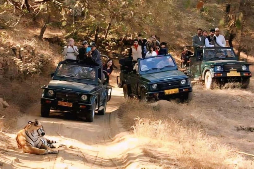 Sawai Madhopur: Ranthambore National Park Guided Jeep Safari - Price and what you really get for $45