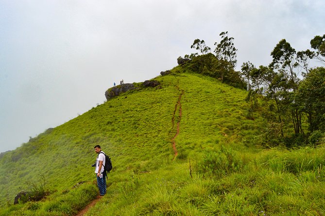 Scenic Kerala : Hills, Wildlife, Backwaters & Beach Bliss- 7 Days - From Kochi to Munnar: waterfalls and a traditional village show