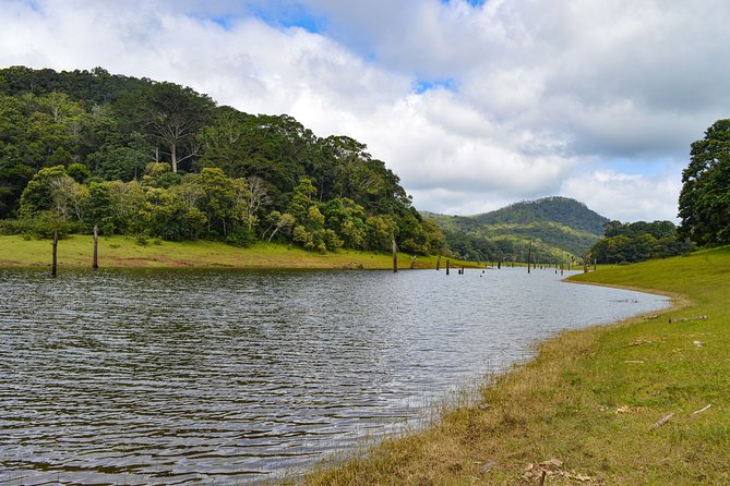 Scenic Kerala : Hills, Wildlife, Backwaters & Beach Bliss- 7 Days - Thekkady and Periyar: the wildlife cruise day