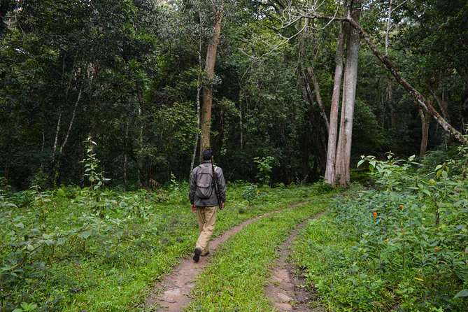 Scenic Kerala : Hills, Wildlife, Backwaters & Beach Bliss- 7 Days - Alleppey backwaters: private houseboat living