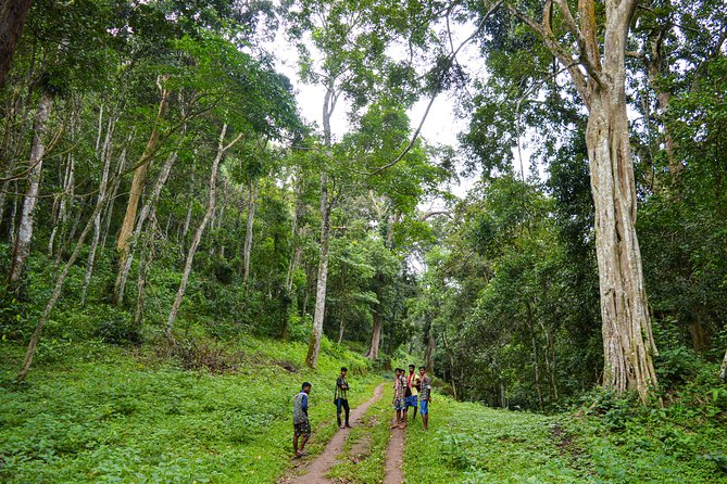Scenic Kerala : Hills, Wildlife, Backwaters & Beach Bliss- 7 Days - Optional Munroe Island and Mararikulam beach at the end