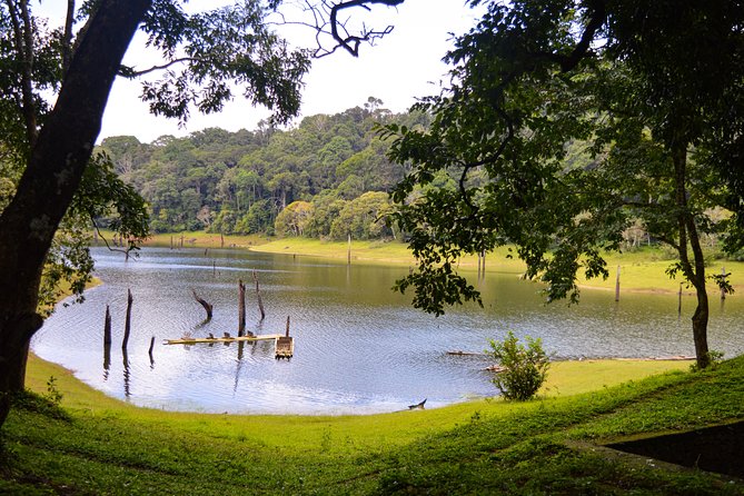 Scenic Kerala : Hills, Wildlife, Backwaters & Beach Bliss- 7 Days - Price and value: what you’re really paying for