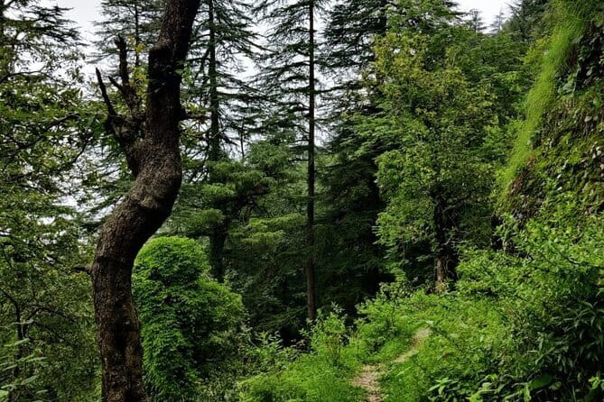 School Boy Walk - Entering Mussoorie on Foot, the Right Way