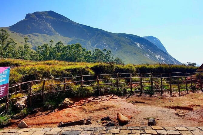 Serene Munnar Retreat: Private Tour from Kochi to the Munnar Hill - Cheeyappara Waterfalls: seven steps and easy viewing
