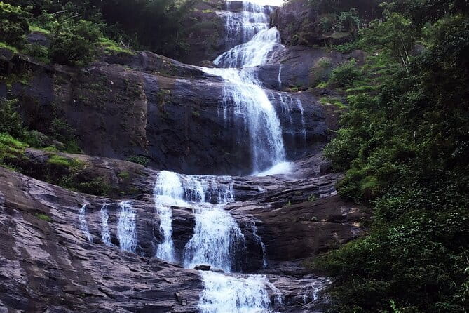 Serene Munnar Retreat: Private Tour from Kochi to the Munnar Hill - Mattupetty Dam: the viewpoint break you will remember