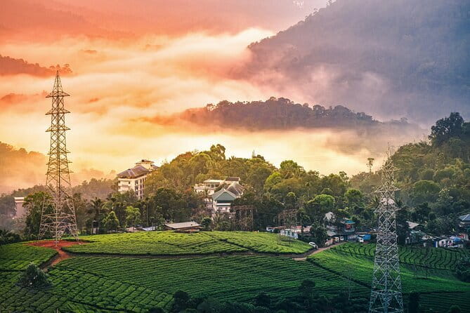 Serene Munnar Retreat: Private Tour from Kochi to the Munnar Hill - Tea gardens and the Echo Point circuit for big views