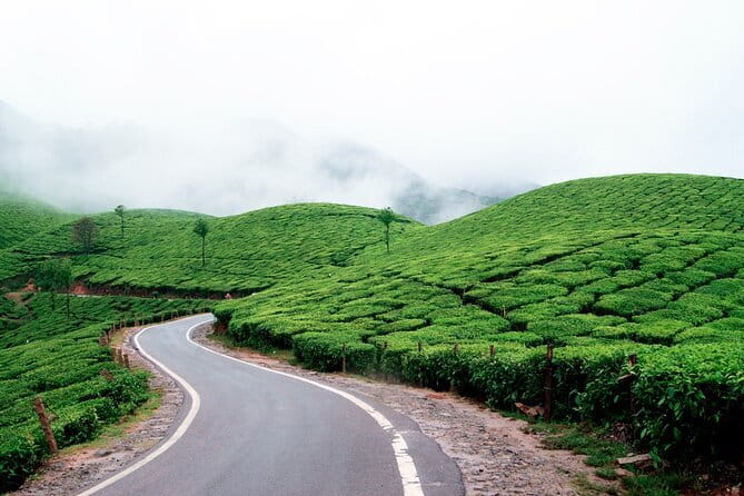 Serene Munnar Retreat: Private Tour from Kochi to the Munnar Hill - Rose Garden: a calmer half-hour interlude