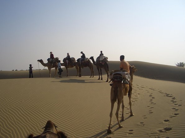 Shahi Over Night camel safari non touristic sand dune - Key highlights that make this safari worth your time