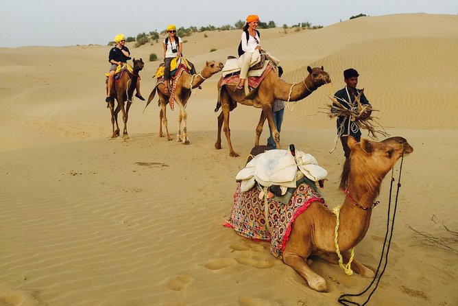 Shahi Over Night camel safari non touristic sand dune - Food and drink: included meals remove a headache