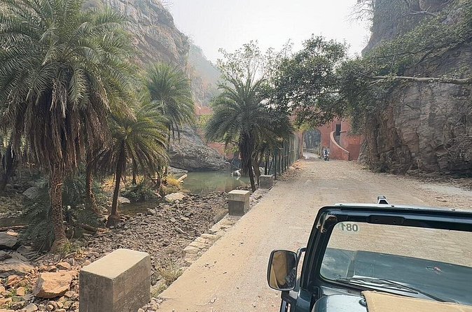 Sightseeing Private tour to Ranthambore Fort and Ganesh Temple. - Price and Value: What $25.51 Per Person Gets You