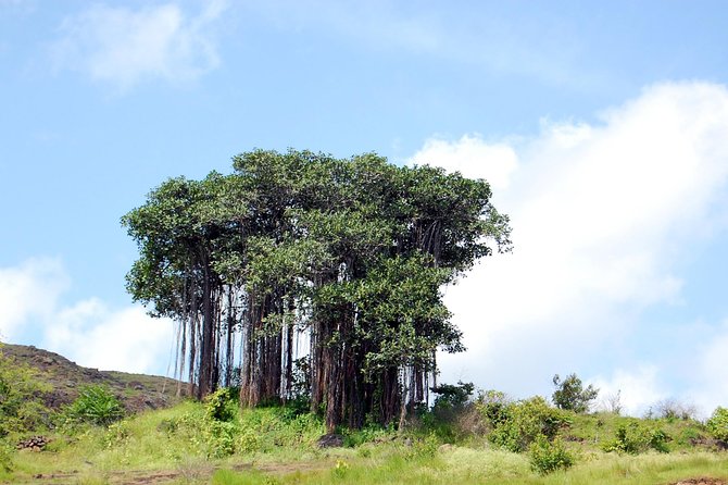 Sinhagad Fort Trip (Guided Half Day Sightseeing Tour) - Khadakwasla Dam stop: a breather with Pune nature
