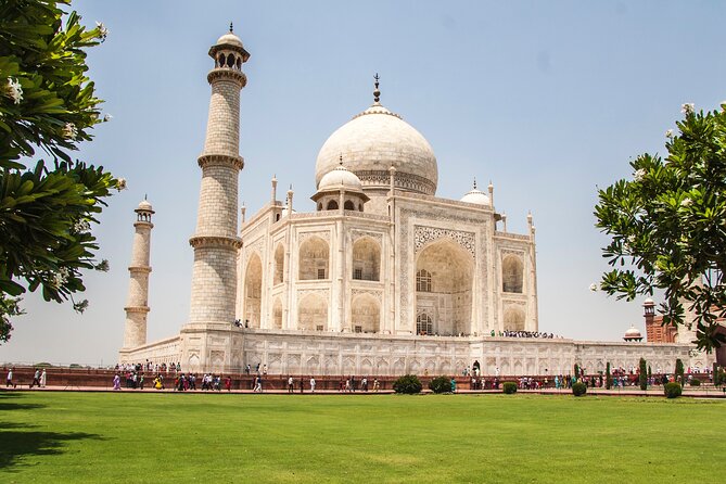 Skip The Line Taj Mahal and Agra fort Tour - Why the private guide experience is the real value