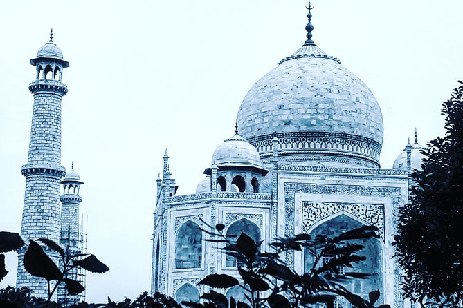 Skip the line with Private Tour Guide for Taj Mahal & Agra Fort - Agra Fort: a focused look at power and walls