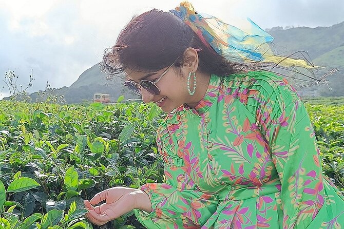 Solo Kerala Private Tour Package ( 5 Nights) - Munnar, Thekkady, Houseboat - Day 1 in Munnar: arriving via Kochi and easing in