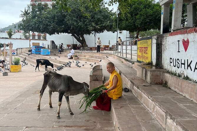 Spiritual City Walking Tour-THE Pushkar Route - Old Rangji Temple (Rama Vaikuntha Temple): architecture you can actually study