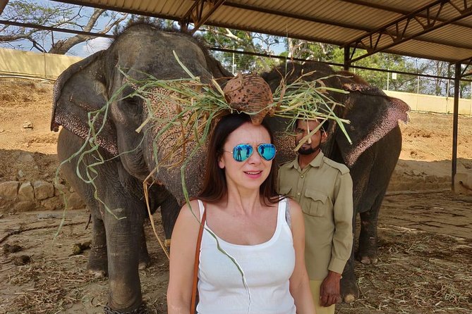 Story of Mysore Silk tour from Bangalore to experience Silk Weaving & Palace - Who This Tour Fits Best