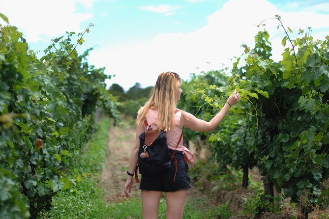Sula Vineyards Day tour from either Mumbai OR Nashik - Key points I think matter most