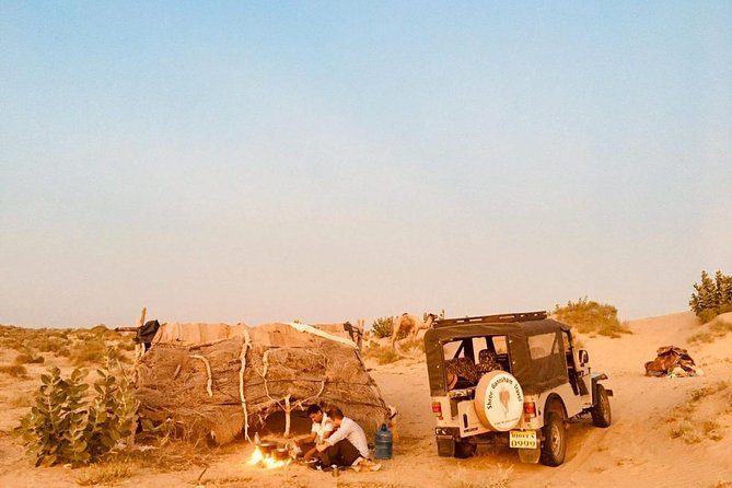Sun Set Safari with Dinner - Sunset camel ride: beautiful timing, and a real comfort check